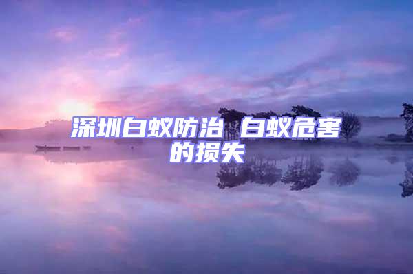 深圳白蟻防治 白蟻危害的損失