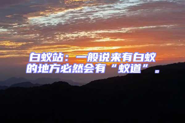 白蟻站：一般說來有白蟻的地方必然會有“蟻道”。