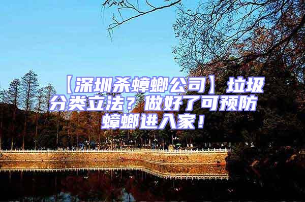 【深圳殺蟑螂公司】垃圾分類立法？做好了可預(yù)防蟑螂進入家！