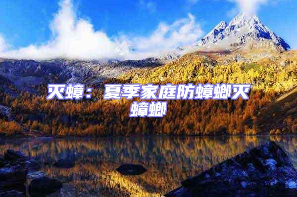 滅蟑:夏季家庭防蟑螂滅蟑螂