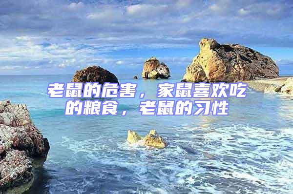 老鼠的危害，家鼠喜歡吃的糧食，老鼠的習(xí)性