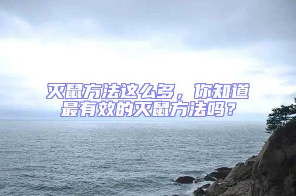 滅鼠方法這么多，你知道最有效的滅鼠方法嗎？