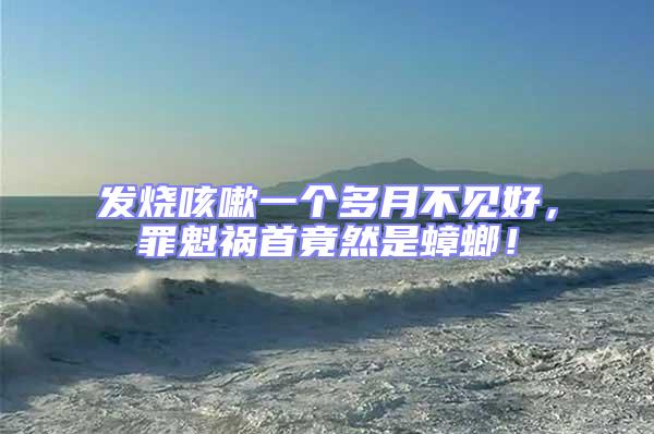發(fā)燒咳嗽一個(gè)多月不見好，罪魁禍?zhǔn)拙谷皇求耄?/></p>
									<p style=