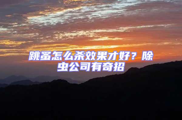 跳蚤怎么殺效果才好？除蟲公司有奇招