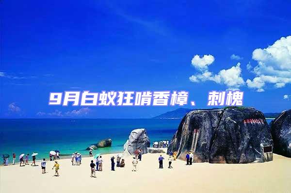 9月白蟻狂啃香樟、刺槐