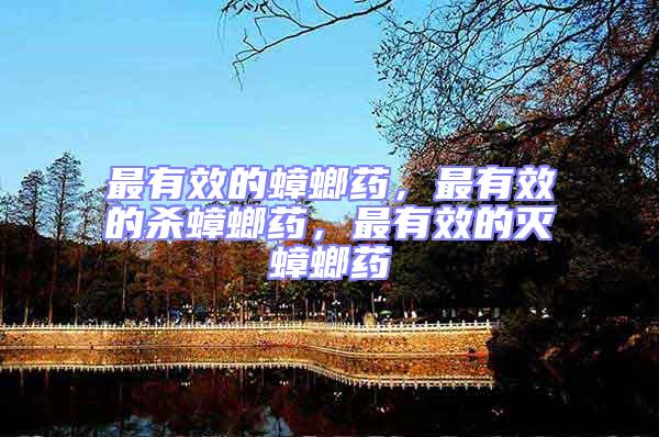最有效的蟑螂藥，最有效的殺蟑螂藥，最有效的滅蟑螂藥