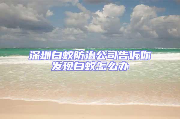 深圳白蟻防治公司告訴你發(fā)現(xiàn)白蟻怎么辦