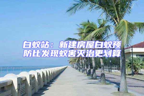白蟻站：新建房屋白蟻預防比發(fā)現蟻害滅治更劃算