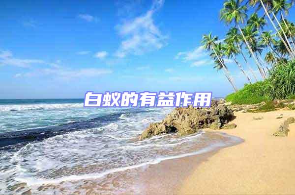 白蟻的有益作用