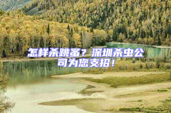 怎樣殺跳蚤？深圳殺蟲公司為您支招！