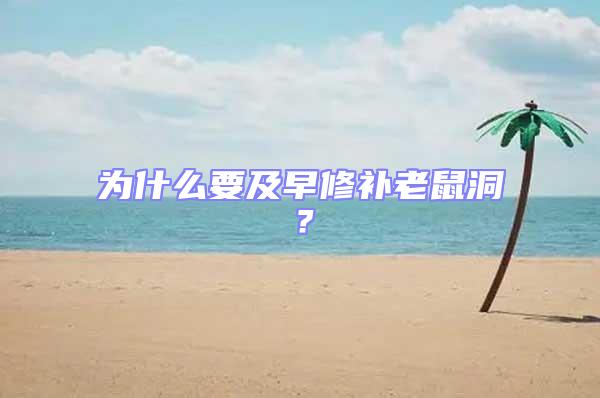 為什么要及早修補(bǔ)老鼠洞?