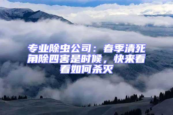 專業除蟲公司：春季清死角除四害是時候，快來看看如何殺滅