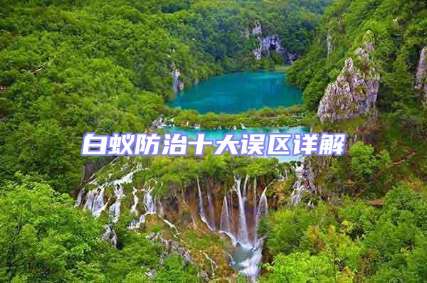 白蟻防治十大誤區(qū)詳解