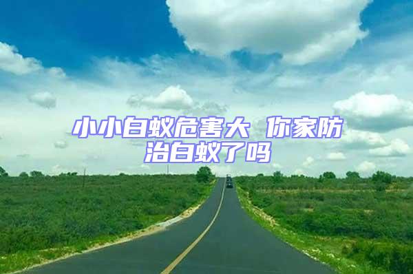 小小白蟻危害大 你家防治白蟻了嗎