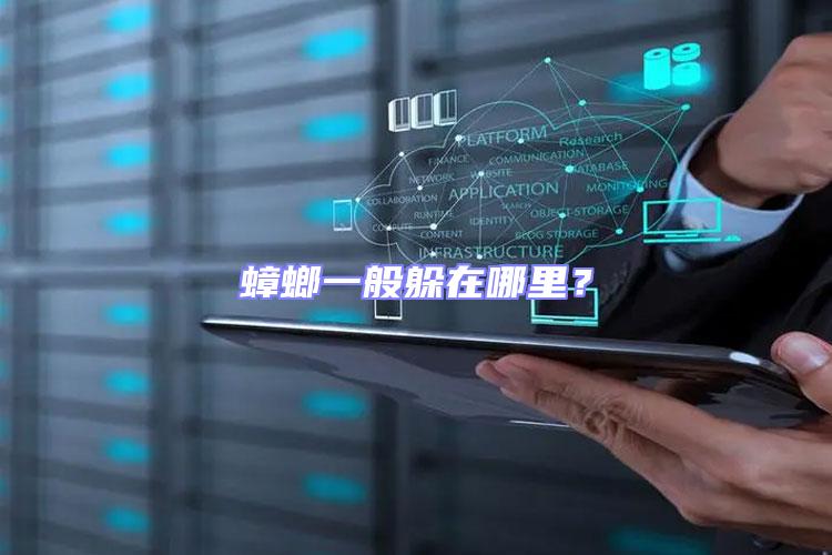 蟑螂一般躲在哪里?