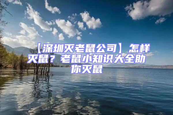 【深圳滅老鼠公司】怎樣滅鼠?老鼠小知識大全助你滅鼠