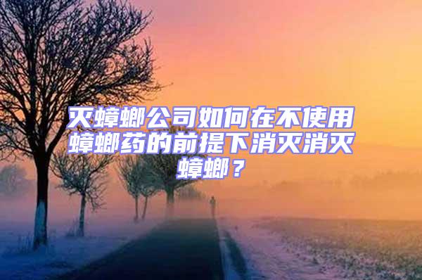 滅蟑螂公司如何在不使用蟑螂藥的前提下消滅消滅蟑螂?