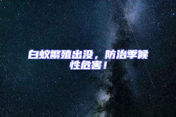 白蟻繁殖出沒，防治季候性危害！