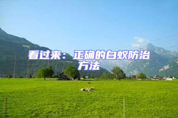 看過來：正確的白蟻防治方法