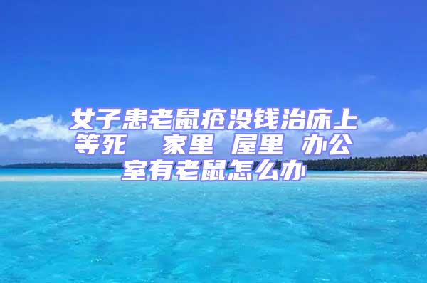 女子患老鼠瘡沒錢治床上等死 家里 屋里 辦公室有老鼠怎么辦