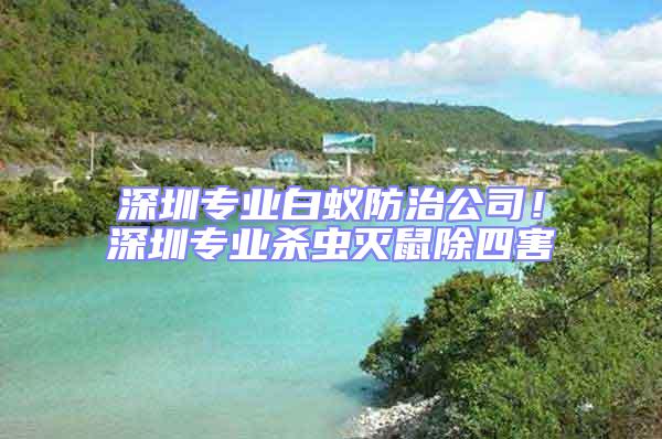 深圳專業(yè)白蟻防治公司！深圳專業(yè)殺蟲滅鼠除四害