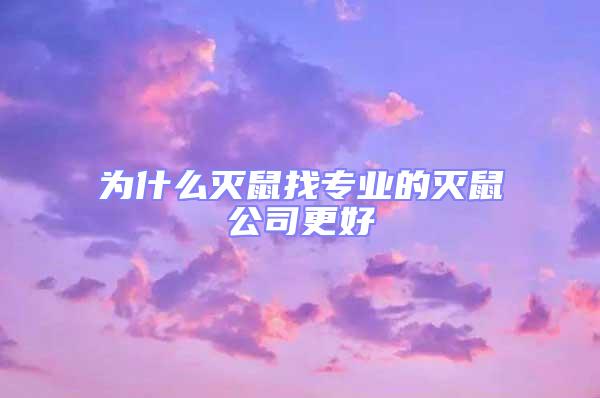 為什么滅鼠找專業的滅鼠公司更好
