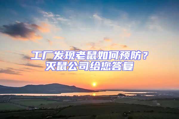 工廠發(fā)現(xiàn)老鼠如何預(yù)防？滅鼠公司給您答復(fù)
