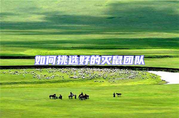 如何挑選好的滅鼠團隊