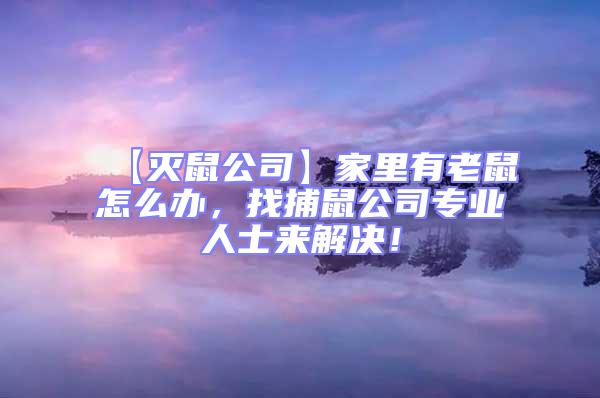 【滅鼠公司】家里有老鼠怎么辦，找捕鼠公司專業(yè)人士來(lái)解決！