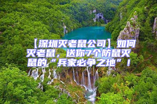 【深圳滅老鼠公司】如何滅老鼠,送你7個(gè)防鼠滅鼠的“兵家必爭(zhēng)之地”!