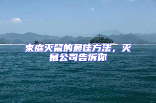 家庭滅鼠的最佳方法,滅鼠公司告訴你
