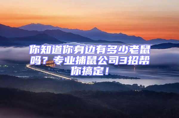 你知道你身邊有多少老鼠嗎?專業捕鼠公司3招幫你搞定!
