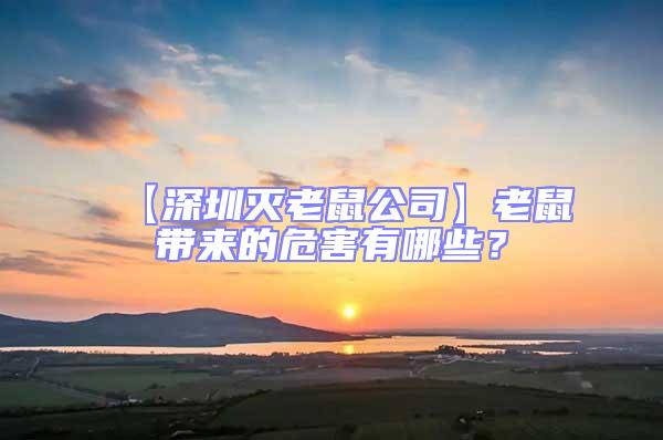 【深圳滅老鼠公司】老鼠帶來的危害有哪些?