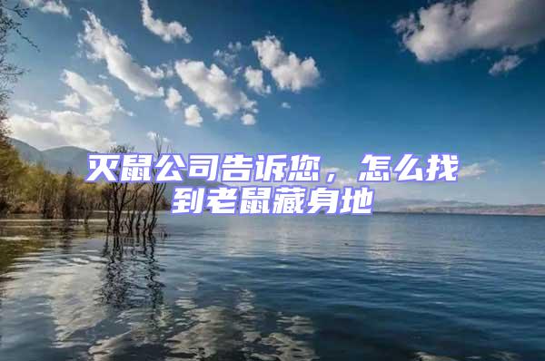 滅鼠公司告訴您，怎么找到老鼠藏身地