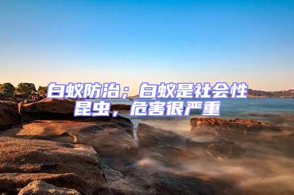 白蟻防治;白蟻是社會性昆蟲,危害很嚴重