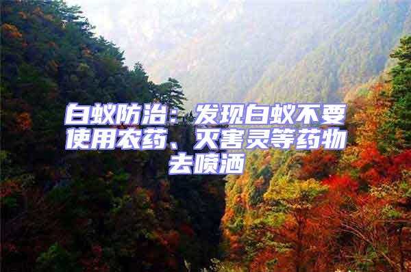 白蟻防治:發(fā)現(xiàn)白蟻不要使用農(nóng)藥、滅害靈等藥物去噴灑