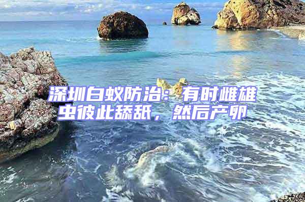 深圳白蟻防治:有時雌雄蟲彼此舔舐,然后產卵
