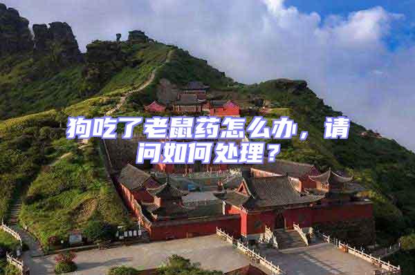 狗吃了老鼠藥怎么辦,請(qǐng)問(wèn)如何處理?