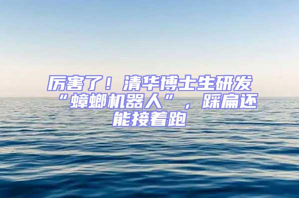厲害了!清華博士生研發“蟑螂機器人”,踩扁還能接著跑