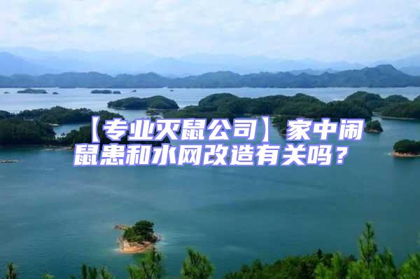 【專業滅鼠公司】家中鬧鼠患和水網改造有關嗎?