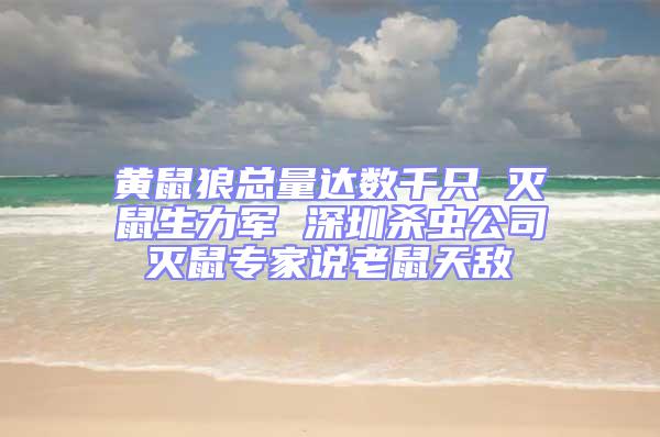 黃鼠狼總量達數(shù)千只 滅鼠生力軍 深圳殺蟲公司滅鼠專家說老鼠天敵