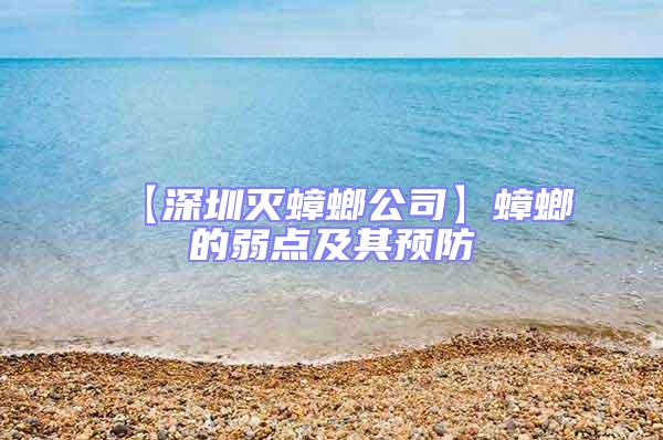 【深圳滅蟑螂公司】蟑螂的弱點及其預防