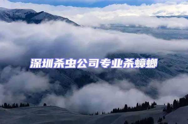 深圳殺蟲公司專業殺蟑螂