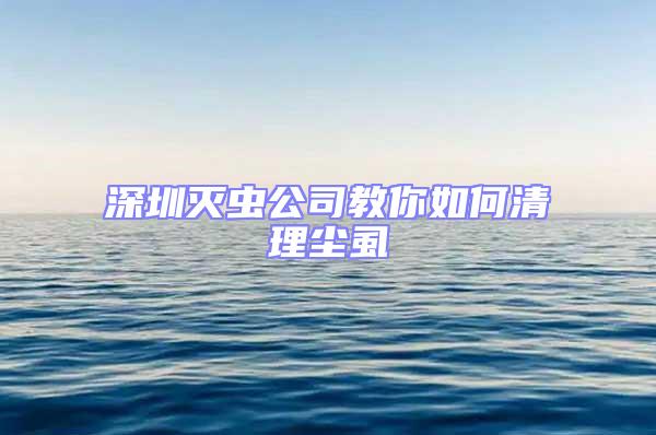 深圳滅蟲公司教你如何清理塵虱