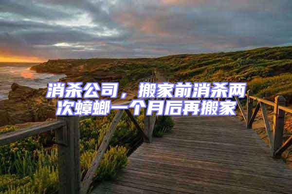 消殺公司,搬家前消殺兩次蟑螂一個月后再搬家