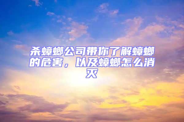 殺蟑螂公司帶你了解蟑螂的危害,以及蟑螂怎么消滅