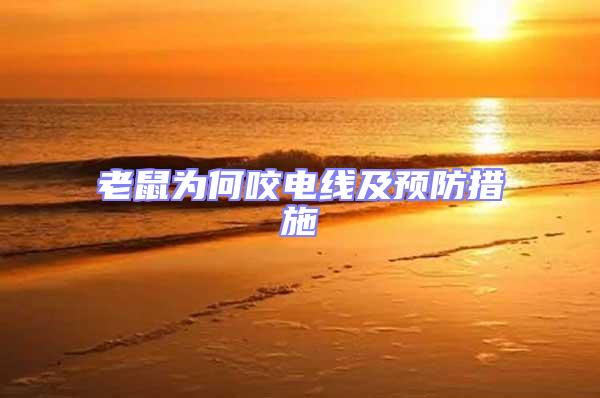 老鼠為何咬電線(xiàn)及預(yù)防措施