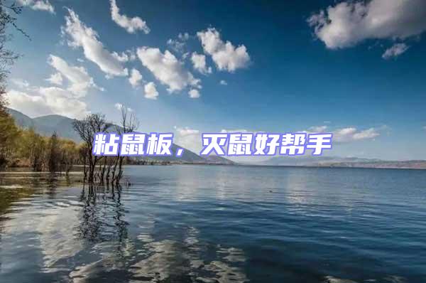 粘鼠板，滅鼠好幫手