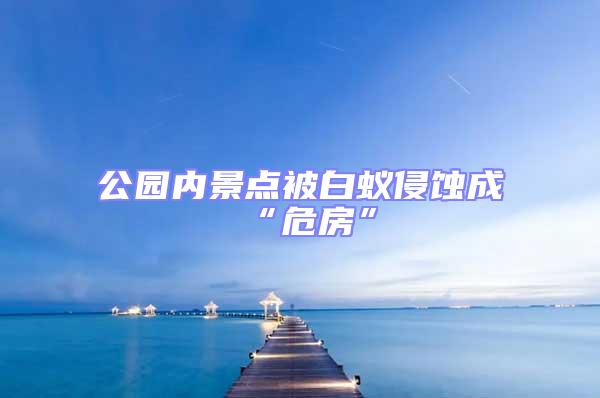 公園內(nèi)景點被白蟻侵蝕成“危房”