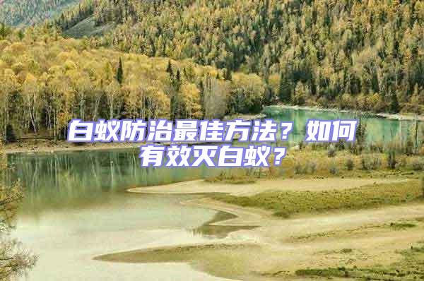 白蟻防治最佳方法？如何有效滅白蟻？